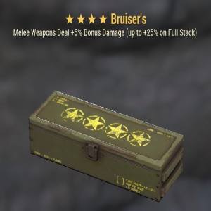 Bruiser's Mod